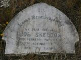 image of grave number 913366
